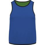 Chasuble de rugby réversible enfant Sporty Royal Blue / Green - 10/14