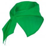 Bandana JARANERO vert irlandais