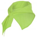 Bandana JARANERO vert mantis