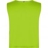 AJAX VERT FLUO